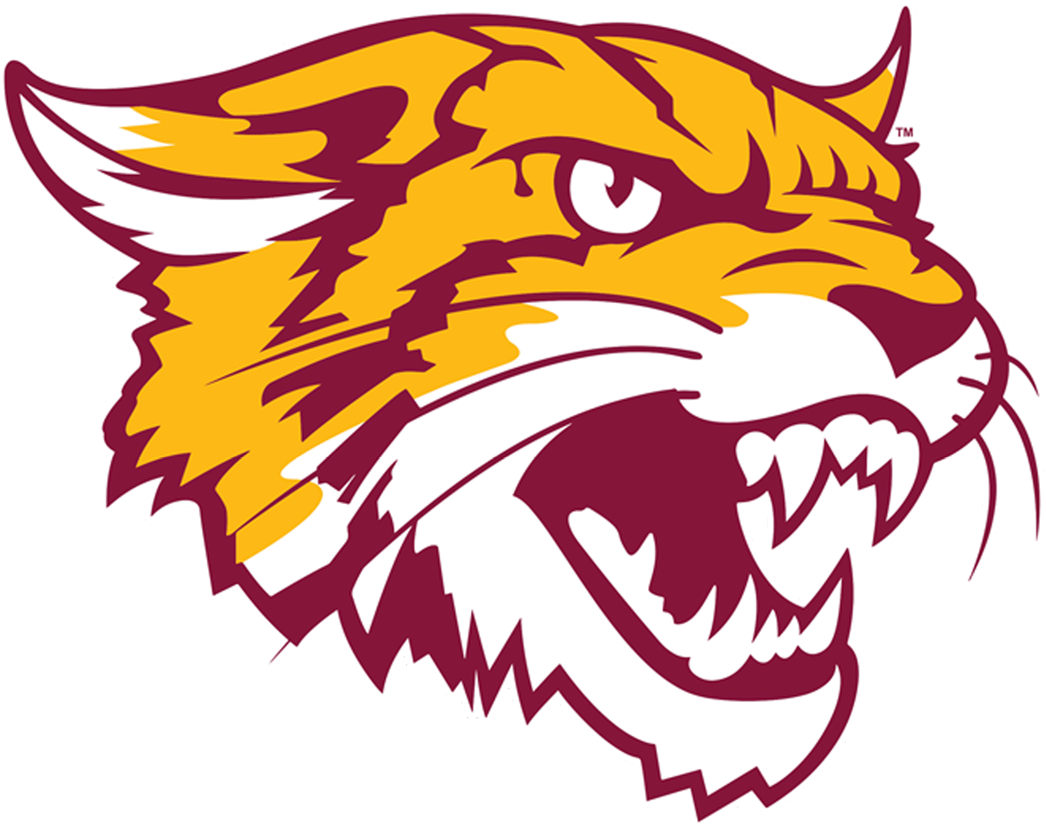 Bethune-Cookman Wildcats 2016-Pres Alternate Logo diy iron on heat transfer